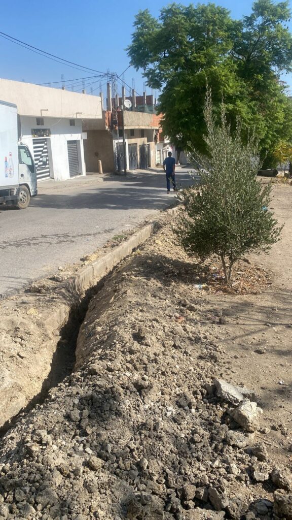 5583f26d-1688-4945-ad01-748ebbc41cd9